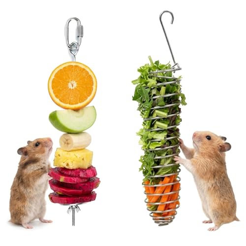2Pcs Rat Enrichment Toys,Bird Cage Food Fruit Vegetable Holder,304 Stainless Steel Foraging Toy,Fancy Mice Cage Accessories Puzzle Toy,Hanging Rodent Toys Slow Feeder,Bird Foraging for Parakeet