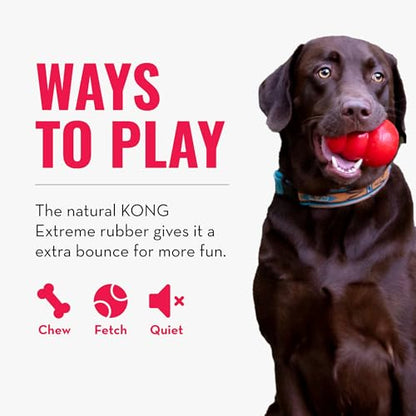 KONG Extreme Ball with Hole - Fetch Toy - Durable Dog Toy for Training, Interactive Playtime & More - Natural KONG Extreme Rubber Ball - Black - For Small Dogs - size: Small (Pack of 1)