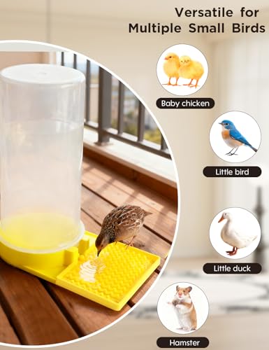 Large Capacity Quail Water Feeder,Button Quail Supplies for Quails Cage, Multi-Use as Quail Feeder, Quail Waterer, Chick Waterer,Baby Chick Waterer, Ideal Quail Feeders for Baby Bird