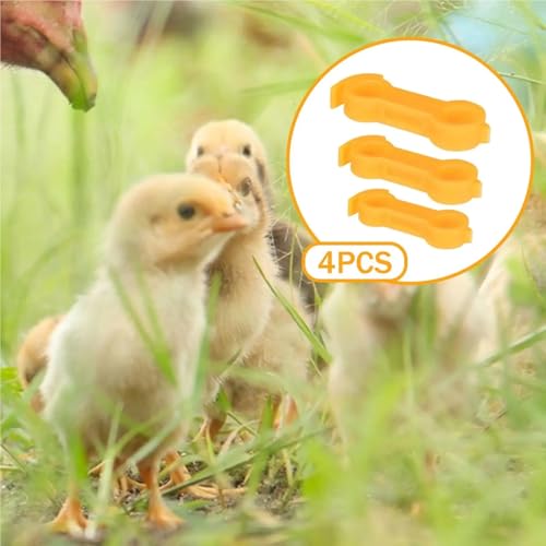 Chicken Leg Bands 24-Pack Chick Splay Leg Braces, Adjustable Hobble Clips for Ducks, Bantams & Pigeons