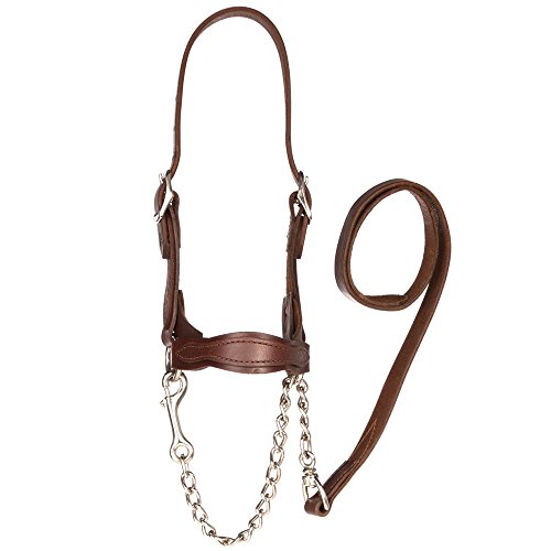 SULLIVAN'S Supply Classic Leather Flat Nose Scalloped Show Halter Medium Brown Brown Medium