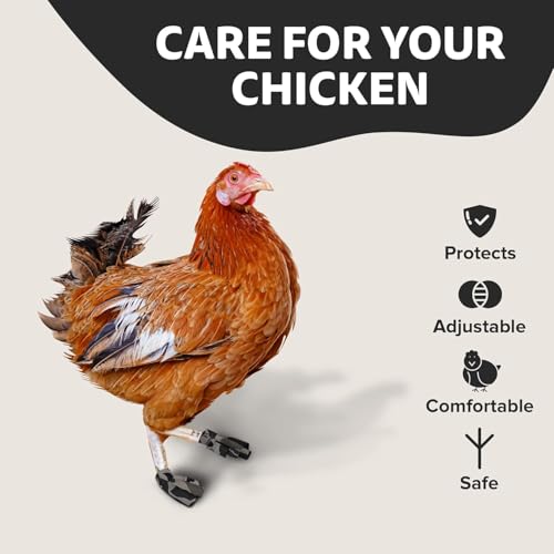 Chicken Shoes for Injured Feet – Protective Neoprene Footwear for Chicken, Open-Toe Design for Bumblefoot Relief, Made in USA (Chicken Shoes, Gray Camouflage, Medium Chickens) - color: Gray Camouflage