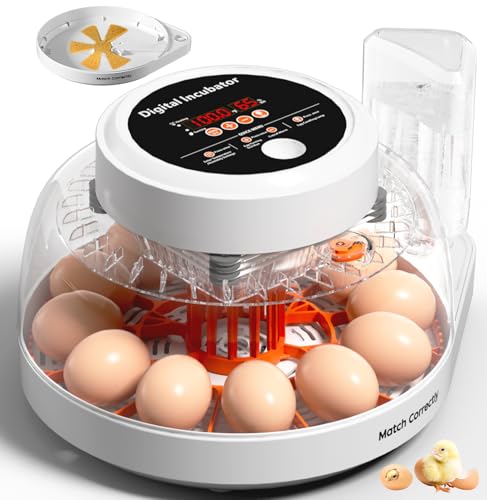 Upgraded Egg Incubator for Hatching Eggs, 12 Egg Capacity with Automatic Egg Turner, Temperature & Humidity Control, LED Egg Candler, Chick Incubator for Chicken, Duck & Quail Eggs - color: Orange, size: 12 EGGS