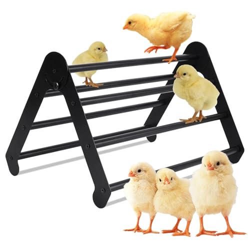 Chick Perch Roosting Bar, Metal Chicken Perch Stand with 7 Bars, Chicks Stand Trainning Perch Hen Roost bar for Chick Poultry Swing Chicken Toy for Hens Indoor Outdoor