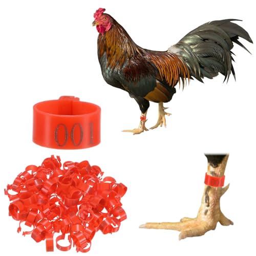 M METERXITY 100-Pack Chicken Leg Bands, 16 mm Plastic Poultry Identification Chicken Leg Rings for Turkey/Duck/Goose/Chicks, Colorful Numbered Foot Clip on Tags [Red] - color: Red, size: 2 x 2.1 x 1 cm / 0.79 x 0.83 x 0.4 in(L x W x H)