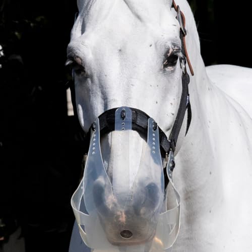 Thinline Turnout Halter for Use with Grazing Muzzle | Horse Equine Safe Comfortable Adjustable Breakaway Halter - Size Options - size: Large Pony
