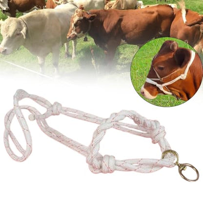 Menolana Bull Bridle Cow Halter for Home Cattles Farms Outdoor Strong Cow Lead Equipment Nylon Tools Effective Cattle Traction Halter - size: Braided Large