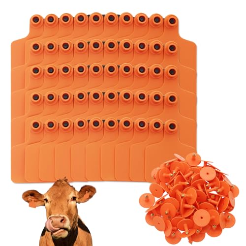 Blank Cattle Ear Tags 100 Pieces TPU Large Livestock Ear Tags Customized Identification Orange - color: Orange