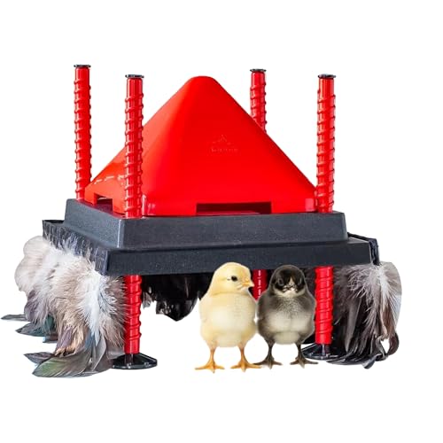 RentACoop 10x10” Heating Plate with Hard Anti-Roost Cone Set and Removable Comfort Feathers – Chick Brooder Heat Plate Warms Up to 15 Chicks – Energy Efficient - Safer Than Heat Lamps