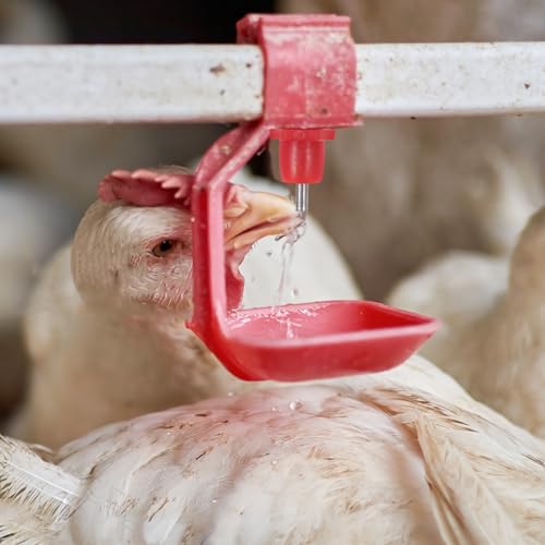 20pcs Automatic Poultry Waterer Nipples for Chicken Bucket Spring Head Chicken Drinking Water Equipment Replacement Waterer Nipples for Agricultural and Livestock Use