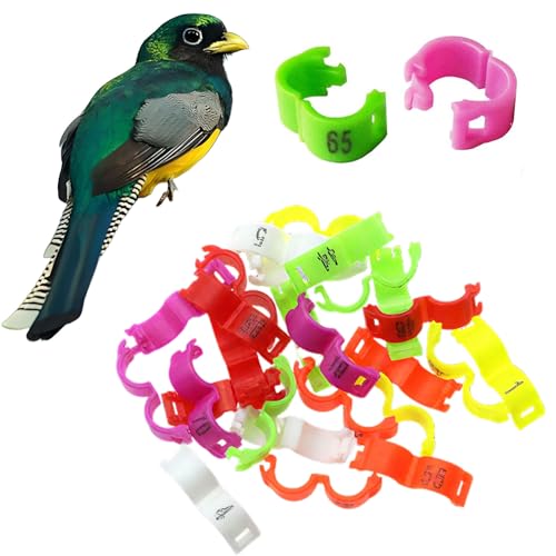100Pcs 5mm Coturnix Quail Leg Bands Baby Chick Leg Bands Pigeon Bands Chicken Leg Bands Rings Green 3mm - color: Green, size: 3mm