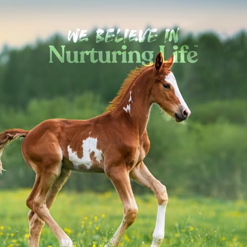 Manna Pro Nurse All Multi-Species Milk Replacer, Great for Calves, Lambs, Goat Kids, Foals, Baby Pigs, Llamas, Alpaca Crias, Puppies & Kittens, Provides Complete Nutrition, 3.5 lb - size: 3.5 Pound (Pack of 1)