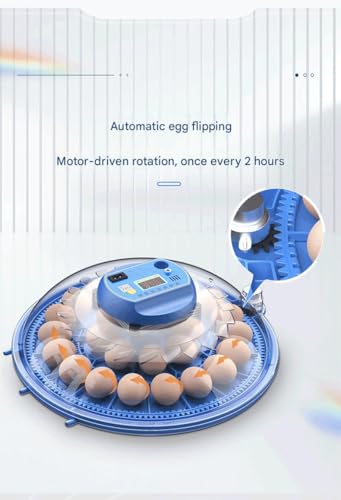 JUJOJB 12 Egg Incubators for Hatching Eggs, Egg Incubator with Temperature and Humidity Control, Egg Candler, Automatic Egg Turner, Clear Window Incubator for Chicks Duck Quail Eggs