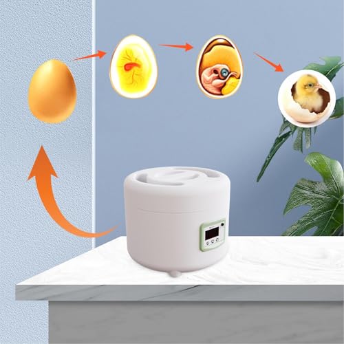 Egg Hatching Incubator,9 Eggs Automatic Incubators and Temperature Humidity Display,Digital for Chicken Quail Duck