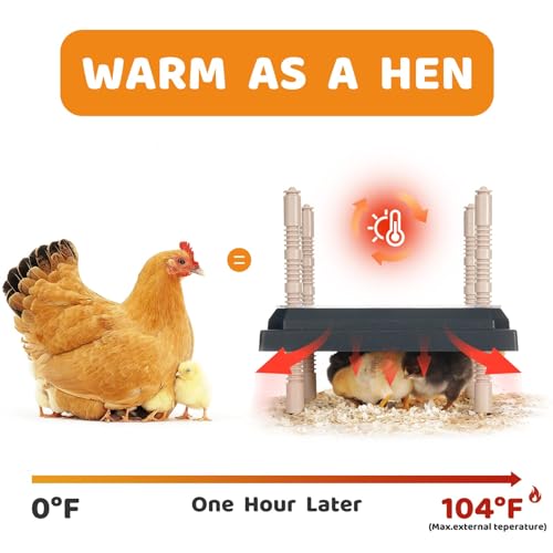 Longhzuo Chicken Brooder Plate for Chicks, Temperature Range 90°F-104°F, Adjustable Heights Chicken Heater, Heat Plate for 15 Chicks (10" X10")