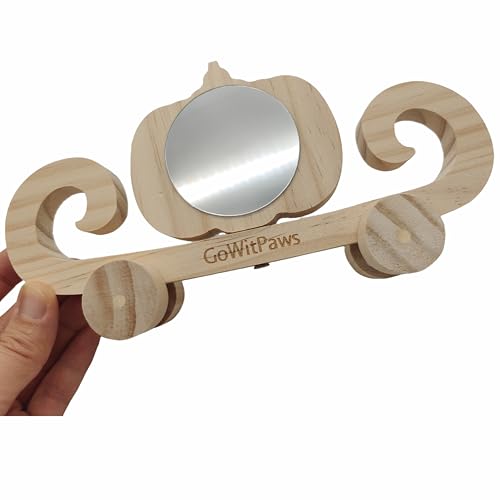 Pumpkin Carriage Mirror Toy for Small Birds, Natural Pine Wood, Dual-Sided Rotating Mirror, Rolling Wheels, 8.5x4.3 Inch