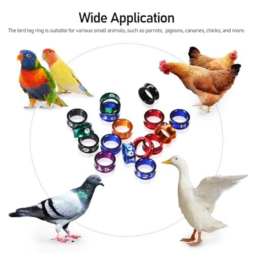 Toddmomy 50 Pcs Multicolor Aluminum Bird Leg Bands Closed Rings for Pigeons Chickens Parrots Small Birds Identification 0.31 Inch