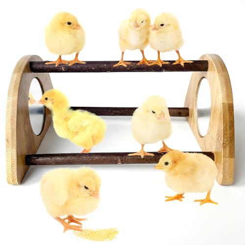Mini Chick Perch with Mirror, Natural Willow Wood Roosting Bar for Coop&Brooder, Anti-Slip Training Perch for Baby Chicks, El Pollitos, La Pollita, Easy to Assemble&Clean, Fun Toys for Chick