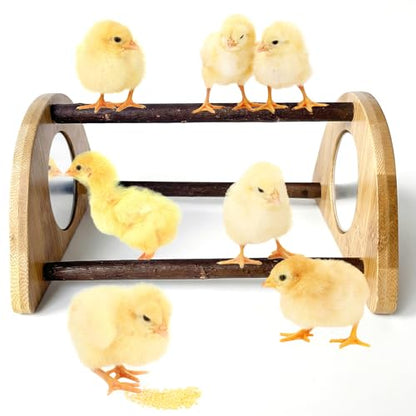 Mini Chick Perch with Mirror, Natural Willow Wood Roosting Bar for Coop&Brooder, Anti-Slip Training Perch for Baby Chicks, El Pollitos, La Pollita, Easy to Assemble&Clean, Fun Toys for Chick