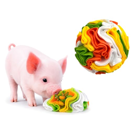 Snuffle Ball for Mini Pigs, Fun Enrichment Pig Toys (Four Color) | for Small Animals, Soft Layers, Encourage Instincts, Slow Feeding, Mental Stimulation - color: Four Color