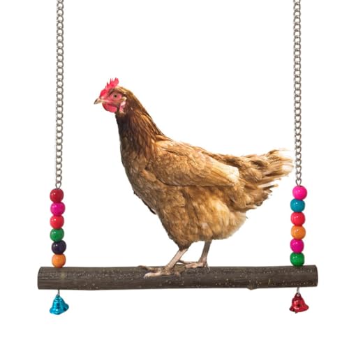 Chicken Swing, Bird Hanging Swings Toys, Wooden Biting Toys Chicken Swing with Bell for Medium and Large Parrots, Cockatoo, African Grey, Macaws, Random Color (L) - size: L