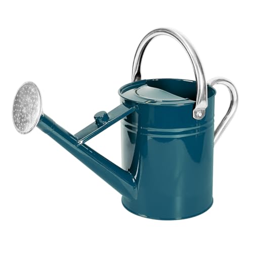 1 Gallon Metal Watering Can with Removable Spout, Nice Galvanized Steel Water Can for Indoor and Outdoor Plants (Ocean Blue) - color: Ocean Blue
