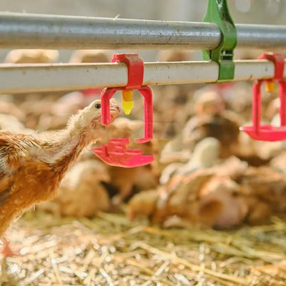 HEMOTON Automatic Poultry Waterer Nipples Set for Chickens with 12 Yellow Nipples, Installation Wrench and Drill Bit, Poultry Drinking Device for Agricultural and Livestock Use