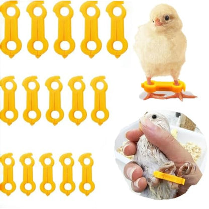 15 Pieces of Baby Chicken Parrot Character Poultry Leg Belts, Newborn Chicks, Quails, Ducks, 1 to 3 Days Newly Hatched Bird Parrot Leg Belts, 3 Sizes