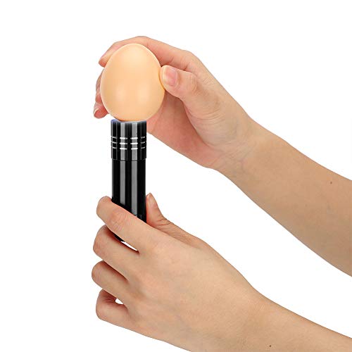 CHICIRIS Egg Candling Lamp, High Intensity Bright Cold Light for Egg Development Observation, with Portable ABS Design, for Chicken Goose Duck Poultry Hatching and School Lab (Black) - color: Black