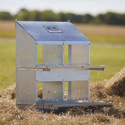 Brower 404B Galvanized Steel 4 Hole, 20 Bird Outdoor Poultry Nest Chicken Brooding Box with Hinged Folding Perches, Silver (4 Pack)