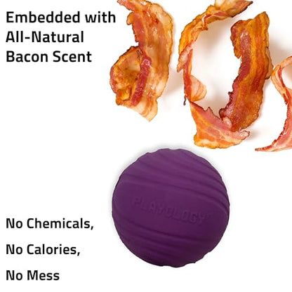 Playology Dog Toys | Dual Layer Ball Durable Chew Toy for Tough Chewers | Bacon Scented Jumbo Dog Toy | Chew Toys for Large Dogs - size: Jumbo, style: Bacon