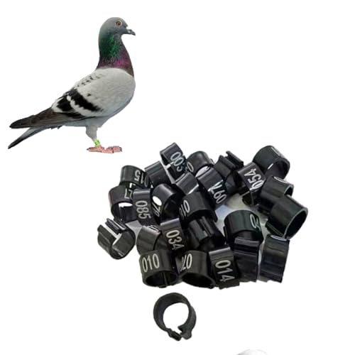 Gerrit 10mm Numbered Plastic Letter Bird Leg Band Quail Chick Plastic Marker Poultry（10colors） 001-400 Black - color: Black, size: 001-400