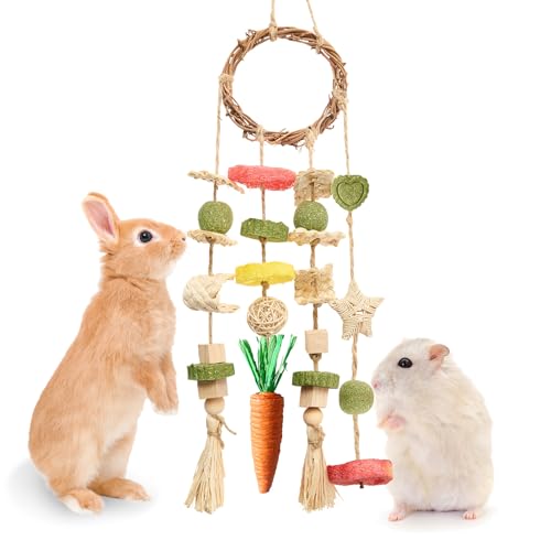 Jorewood Rabbit Chew Toys Bunny Cage Hanging Toy and Treats Rattan Ring with Snacks for Rodent Pets Teeth Healthy - size: 1 count