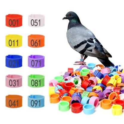 Pigeon Foot Rings – Colorful Numbered Bird Leg Bands, 100 pcs | Readable identification bands for birds