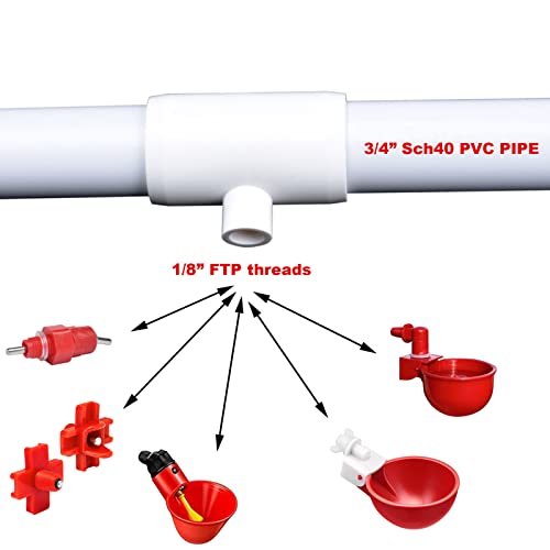 Chicken Waterer PVC Tee Fittings 3/4 Inch (12-Pack) for Threaded Poultry Waterer Cups/Nipples/Feeders, Suitable for Chicks, Duck, Goose, Turkey - Fits 3/4" Sch. 40 PVC Pipes