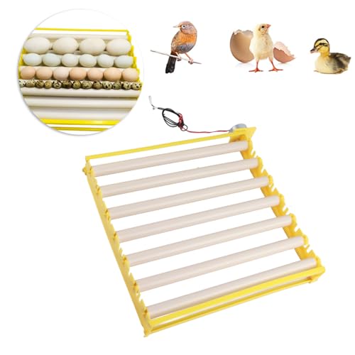 Egg Incubation Tray Automatic Egg Turner with 7 Rollers for Chicken Duck Quail Eggs, Large Capacity 16.9x16.7x2.1 Incubator Accessories for Home Farm Use