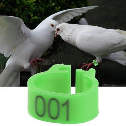 100Pcs 8mm Numbered Plastic Leg Bands, Colorful Clip-On Bird Identification Rings for Quail Chicken Chicks Poultry Management