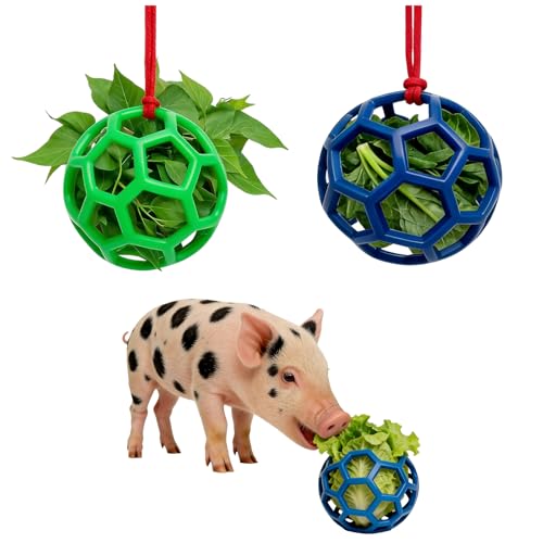 2-Pack Pig Treat Ball Toy – Chew Feed Ball with Hanging Rope | Suitable for farms, pigsties, and courtyards. Indoor and outdoor use. Enrichment toy for mini pigs to chew and play