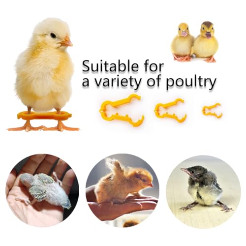 15pcs Baby Chicken Parrot Splay Leg Hobbles,Poultry Leg Bands for Newborn Spraddle Leg of Chick、Quails、Ducks、Bird Parrot of 1 to 3 Days Newly Hatched,3 Sizes