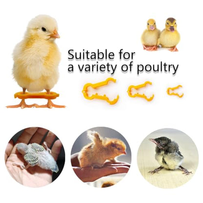 15pcs Baby Chicken Parrot Splay Leg Hobbles,Poultry Leg Bands for Newborn Spraddle Leg of Chick、Quails、Ducks、Bird Parrot of 1 to 3 Days Newly Hatched,3 Sizes