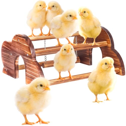 Chicken Perch Chick Jungle Gym Roosting Bar,Durable Chick Standing Training Perch with Carbonized Solid Wood for Chicken Coops
