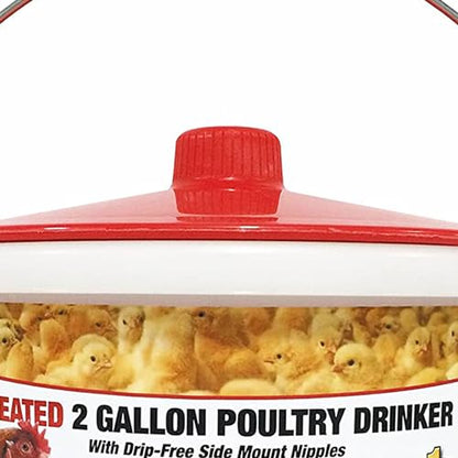 Farm Innovators 2 Pack Heated Chicken Waterer, Poultry Drinker Bucket, 2 Gallon - color: 2 Gallon, size: 2 Pack