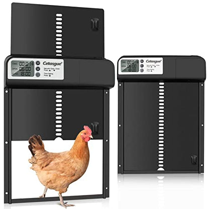 Automatic Chicken Coop Door, Cetasgue Chicken Door Opener with Timer, LCD Display, Battery Powered, Aluminum Door with Anti-Pinch Design, Non Light Sensor, Chicken Coop Accessories for Chicken Run