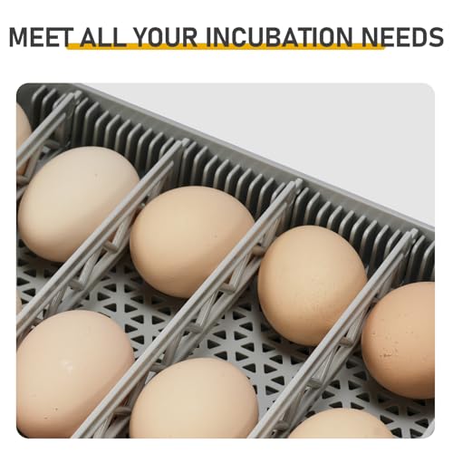 48 Chicken Egg Incubator, Automatic Egg Turner & Built-in Egg Candler, Easy-to-Read Humidity Display, Clear 360° Visibility for Home & Classroom Hatching