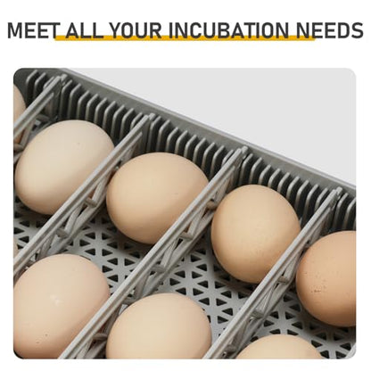 48 Chicken Egg Incubator, Automatic Egg Turner & Built-in Egg Candler, Easy-to-Read Humidity Display, Clear 360° Visibility for Home & Classroom Hatching