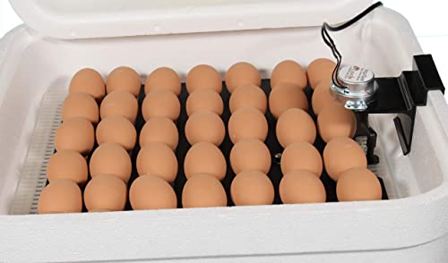 HovaBator Genesis Starter Combo Kit, Egg Incubator, Turner,Quail Tray,Guide - size: Starter Combo Kit + Quail Tray