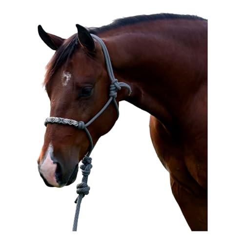 Professional's Choice Beaded Rope Halter | Intricate Beadwork on the Noseband | 7 Foot Matching Lead - color: Charocoal