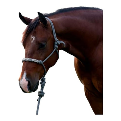 Professional's Choice Beaded Rope Halter | Intricate Beadwork on the Noseband | 7 Foot Matching Lead - color: Charocoal