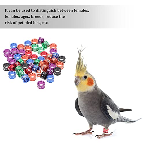 POPETPOP Bird Rings Leg Bands 50pcs Numbered Bird Identification Leg Bands Poultry for Bantam Finch Dove Quail