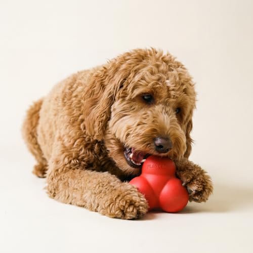 Playology Dog Toys | Squeaky Bounce Ball for Large Dogs | Beef Scented Jumbo Dog Ball for Interactive Play - style: Beef
